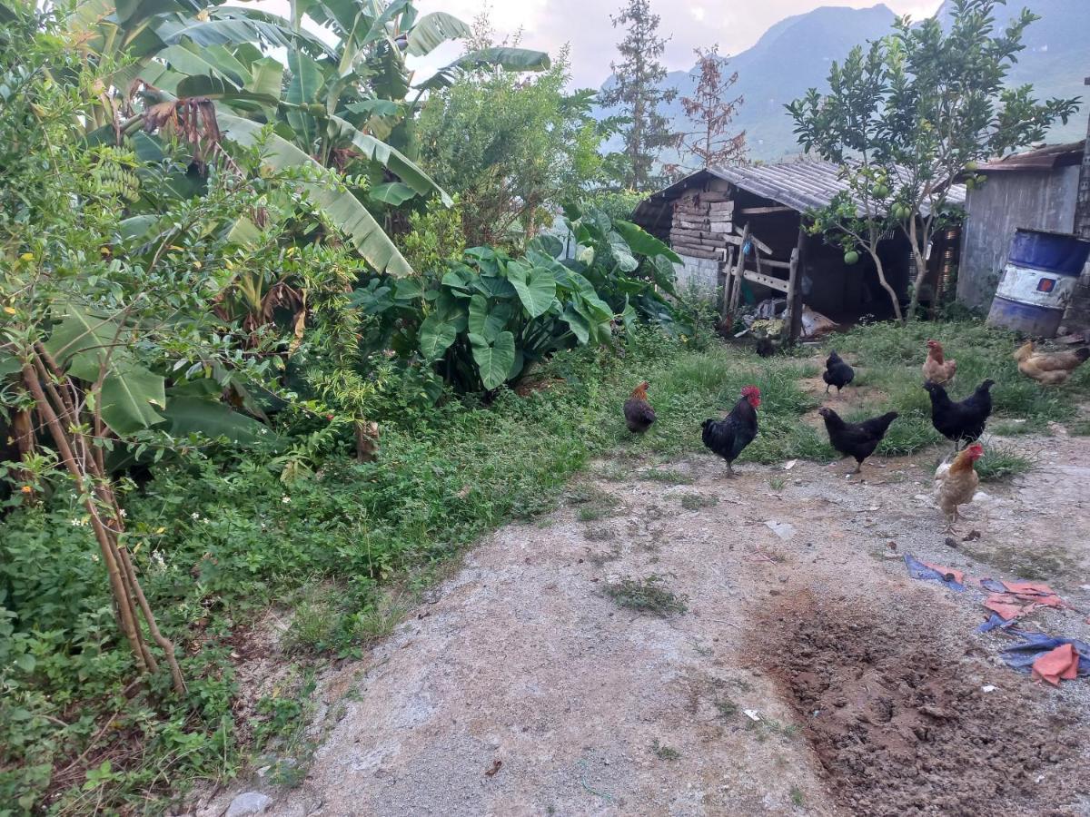 Homestay Hoang Vu Ha Giang Exteriör bild